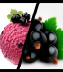 Sorbet Cassis