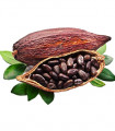 Arôme Cacao