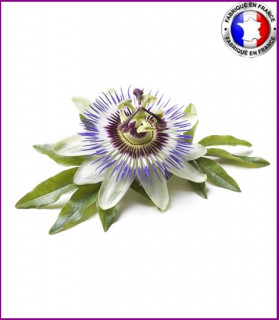 Fleur de la Passion