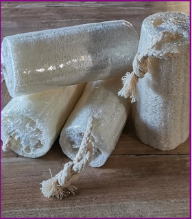 Loofah