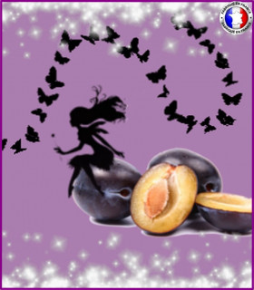 Prune des Fées (Nouvelle formule)