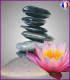 Sel de Mer et Fleur de Lotus (Nouvelle formule)