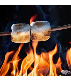 Marshmallow grillé