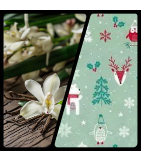 Vanille de Noel