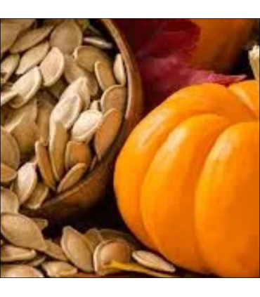 Huile de Graines de Citrouille Bio - pressée à froid