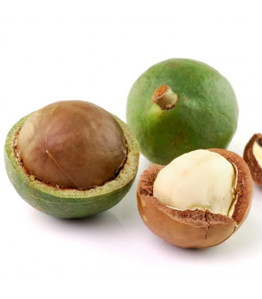 Huile de Macadamia raffinée