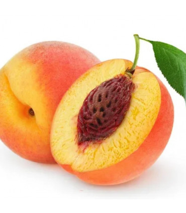 Huile de Noyau de Pêche