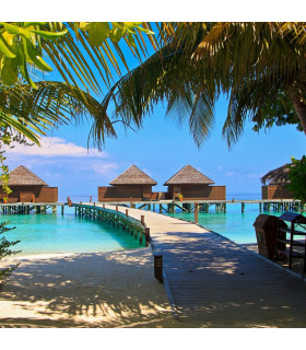 Séjour aux Caraïbes
