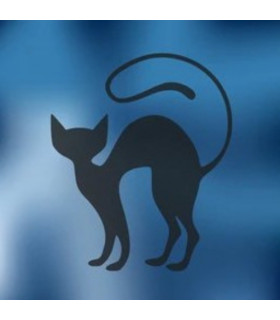 Chat bleu