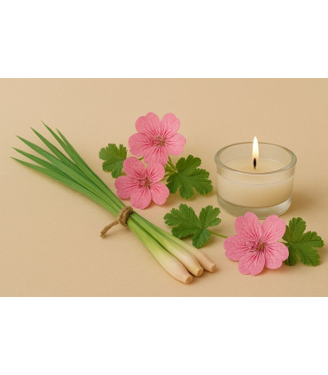 Citronnelle Geranium
