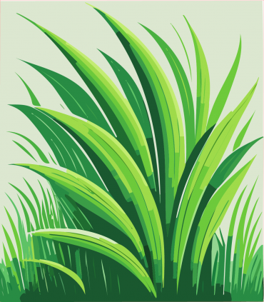 Herbe fraichement coupée