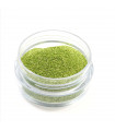 Glitter Vert Etincelant 10g