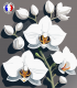 Secret d'Orchidée