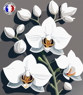 Secret d'Orchidée