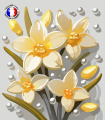 Coeur de Vanille