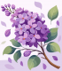 Lilas