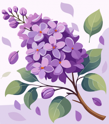 Lilas