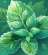 Menthe poivrée