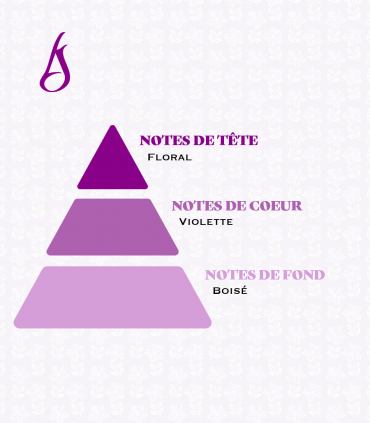 Bouquet de violettes