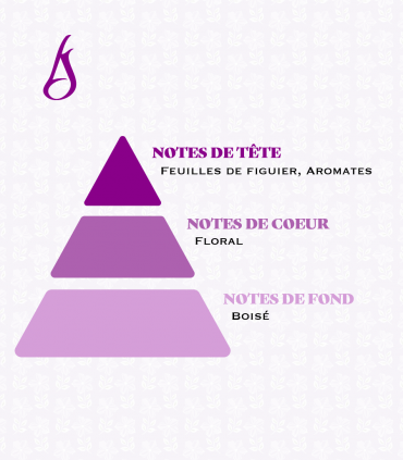 Figuier