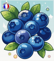 Myrtille