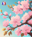 Fleur de Cerisier Japonais