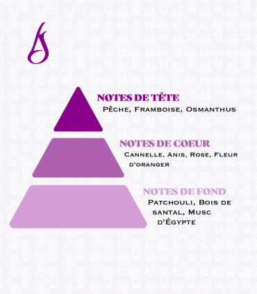 Narcisse (Nouvelle Formule)