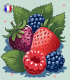 Fruits Rouges