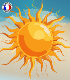 Sunny