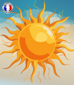 Sunny